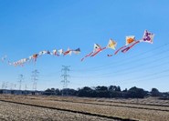 新春凧揚げ大会の写真